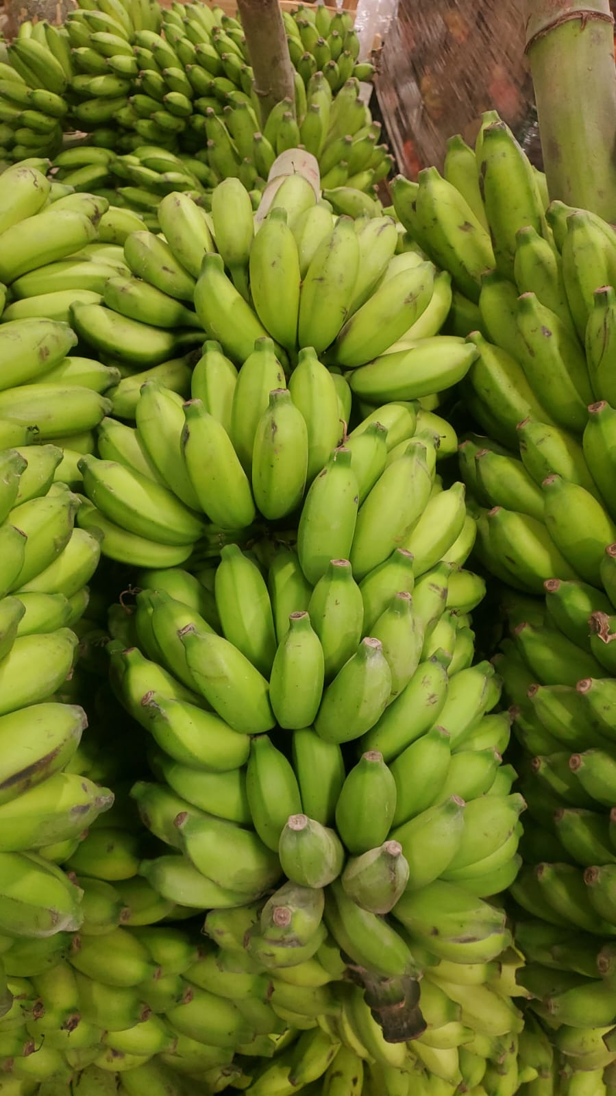 Banana Asska/Sohar 10/12kg موز عسقة صحار