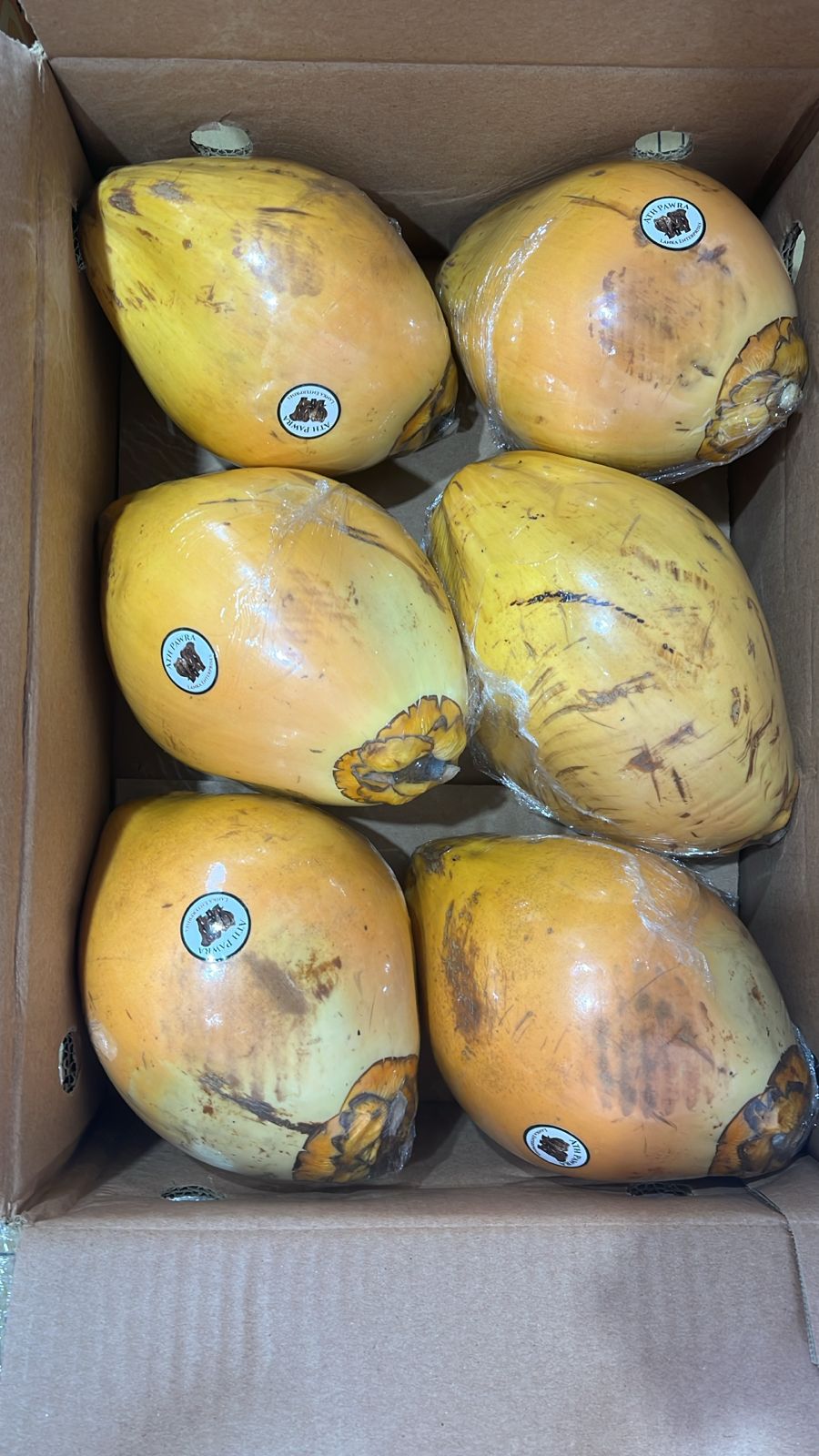 TENDER COCONUT SL/THAILAND 6PC مشلي/ سريلانكا - تايلاند