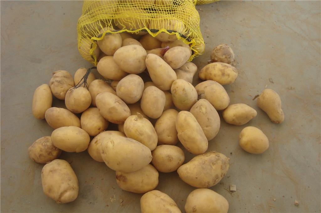 Potato/ Pakistan 20kg بطاطا باكستان