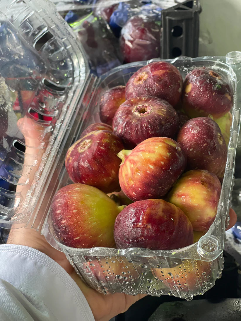 Fig Oman pct تين عماني بكت