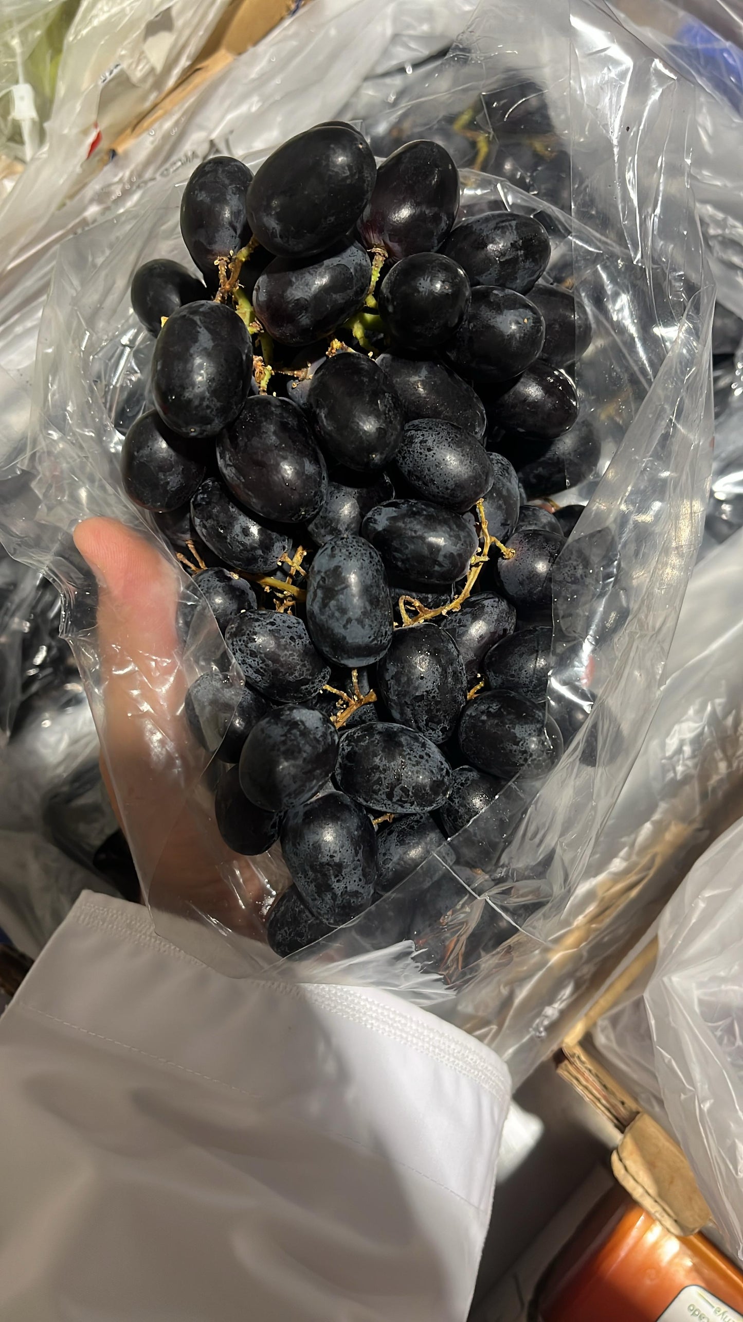Grapes Black/ Australia 9kg عنب اسود استرالي