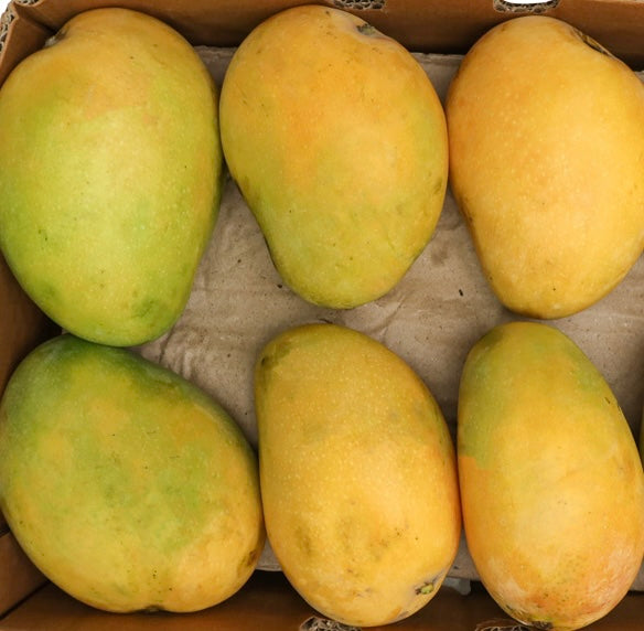 MANGO PAK SUNEERA مانجو سانيرا/ باكستاني