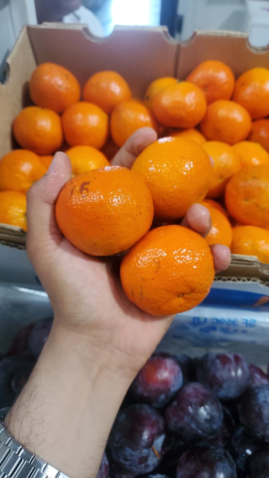 MANDARIN AUS 9kg سنترة/ استرالي