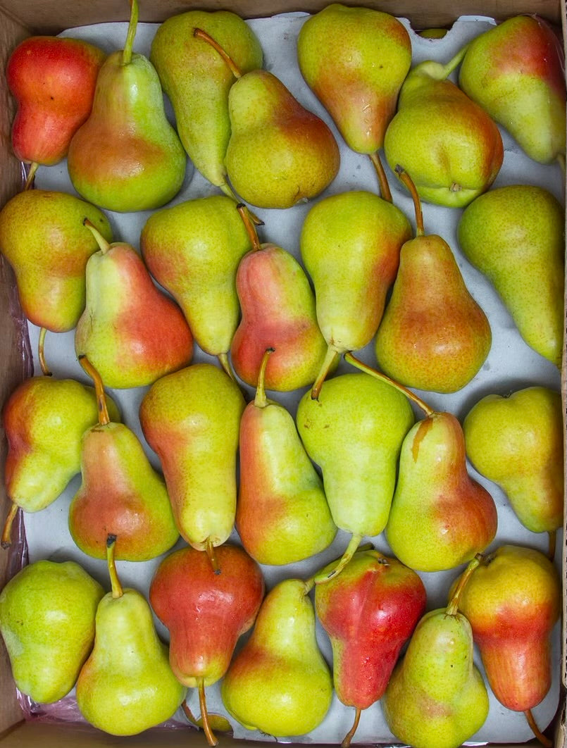 Pears/ Rosemerry box 13kg كمثرى روز ميري