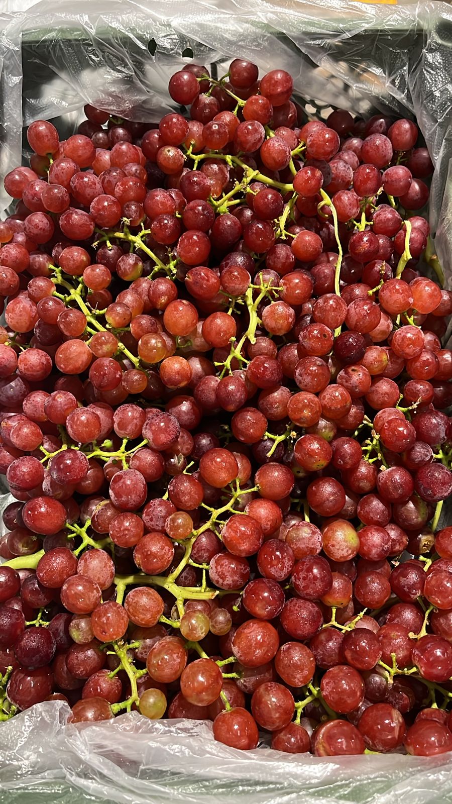 GRAPES RED EGYPT 4kg عنب احمر/ مصري