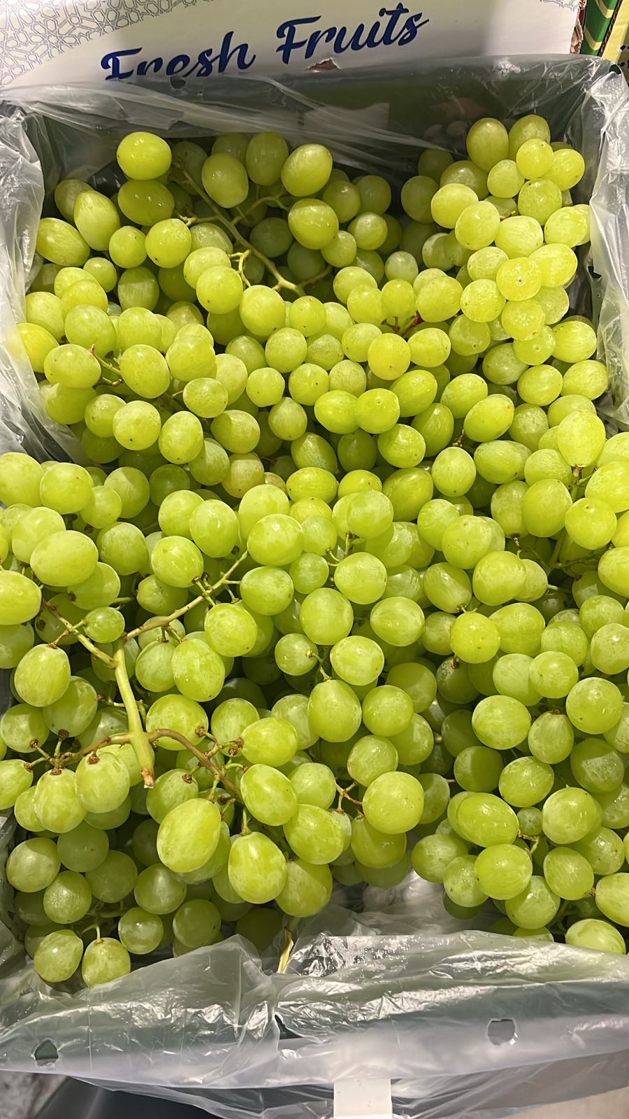 GRAPES GREEN/ EGYPT 3.5kg عنب اخضر/ مصري
