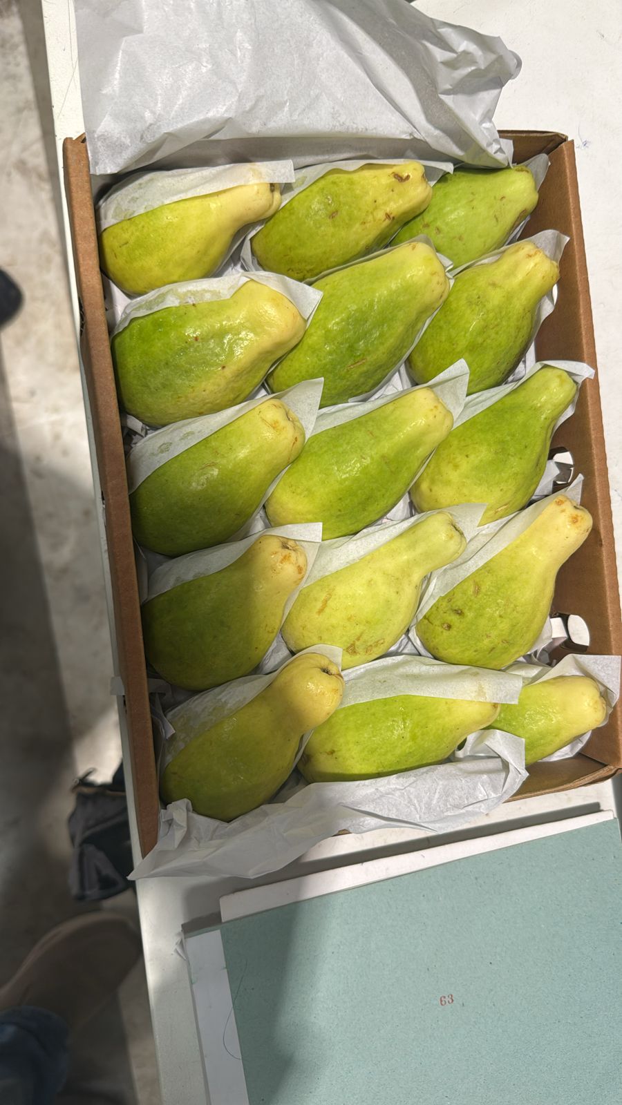 Guava Box جوافة كرتون