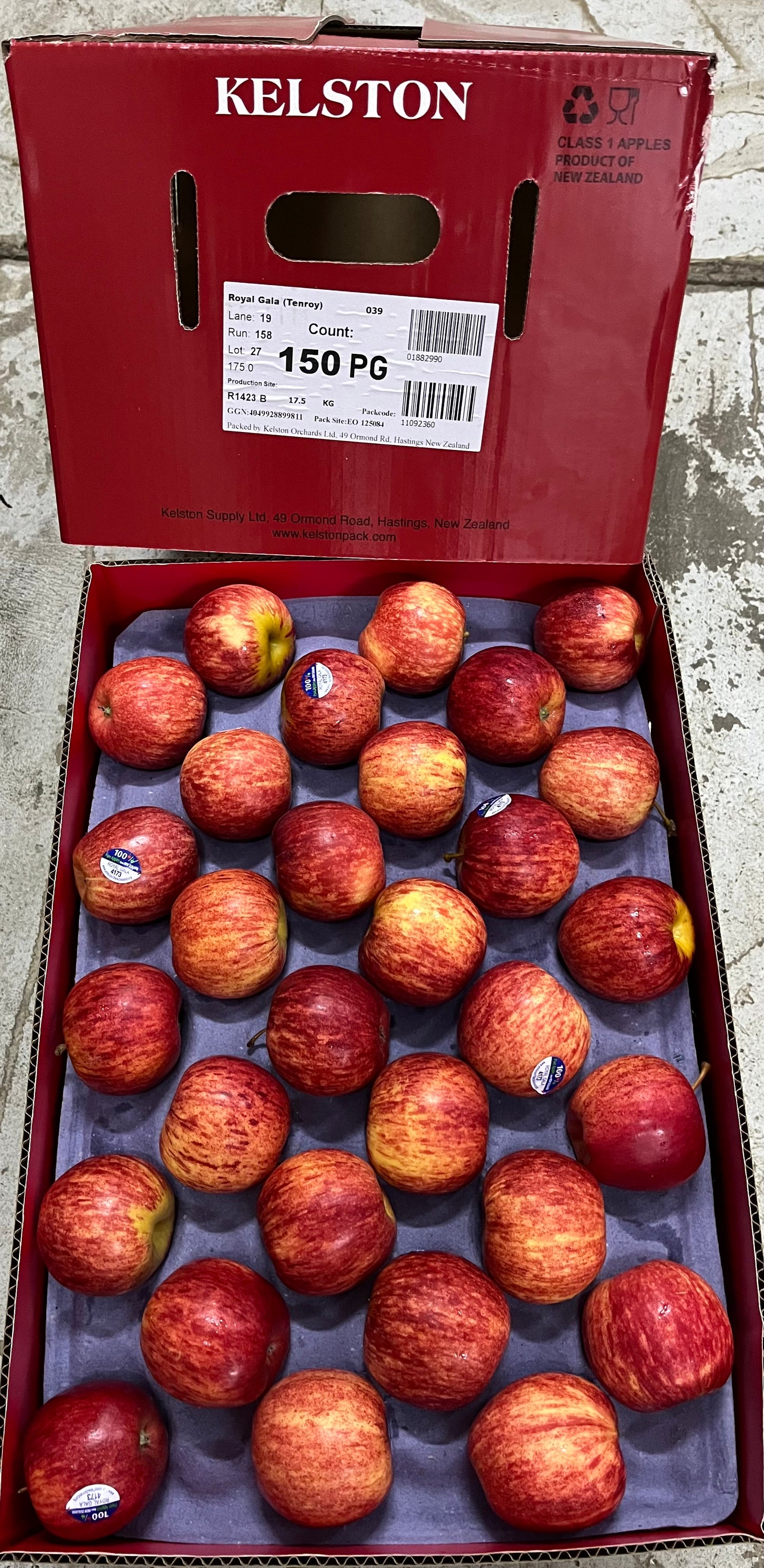 APPLE Jaz N/Z 18kg تفاح جاز / نيوزلاندي