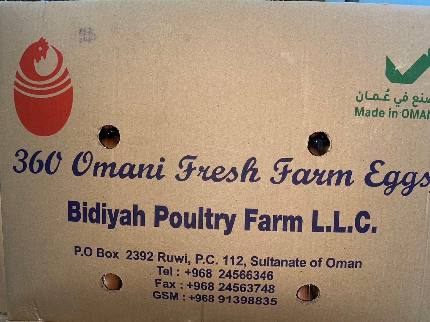 EGG BIDIYA (1*30) PCS كرتون بيض بدية