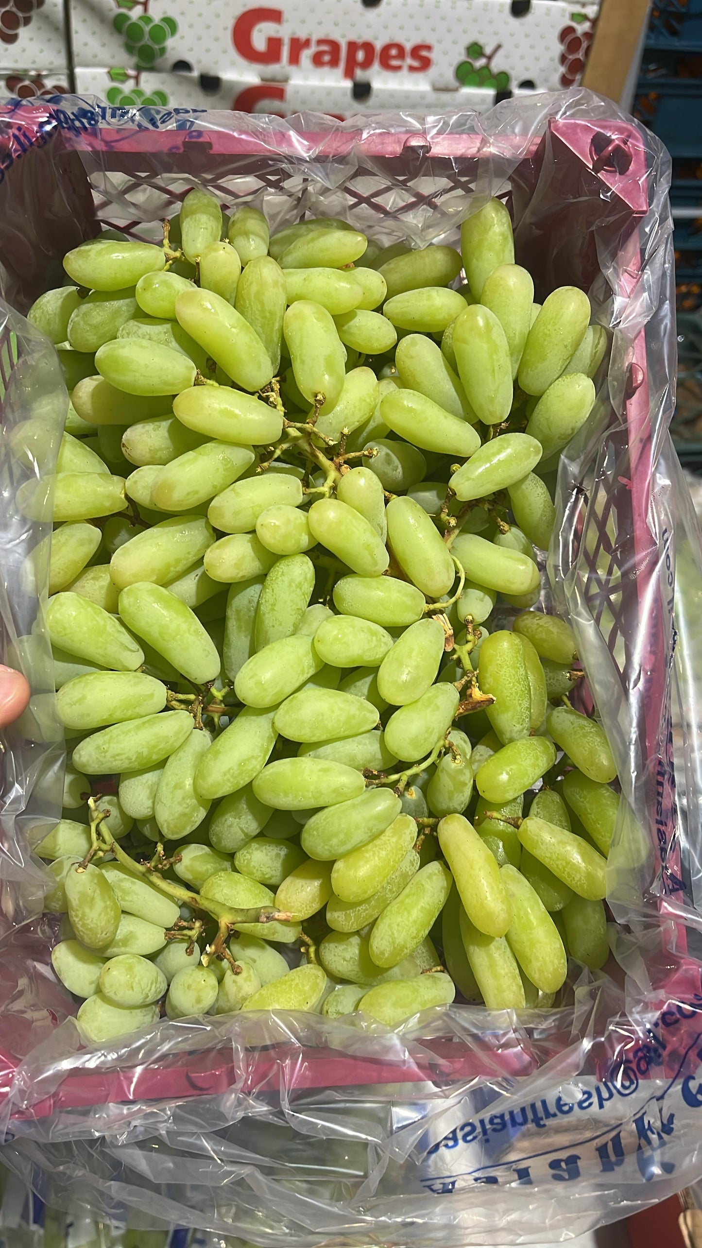 Grapes green /India 2kg عنب اخضر هندي صغير