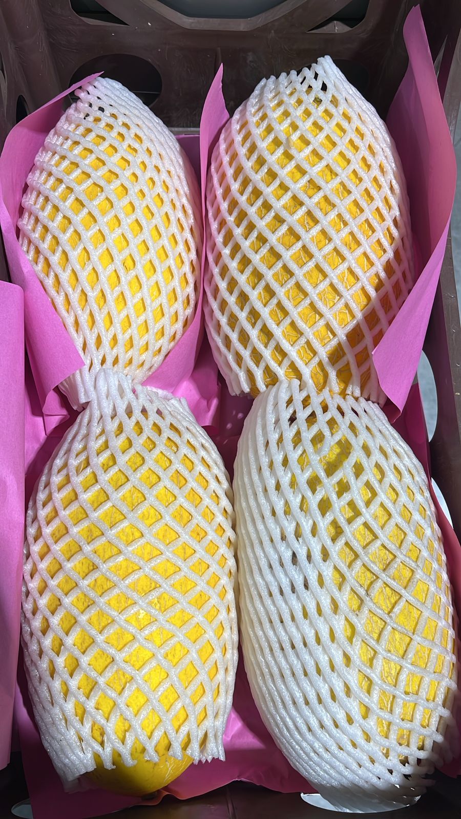 Cantaloupe Gold/ Iran 8kg شمام ايراني ذهبي