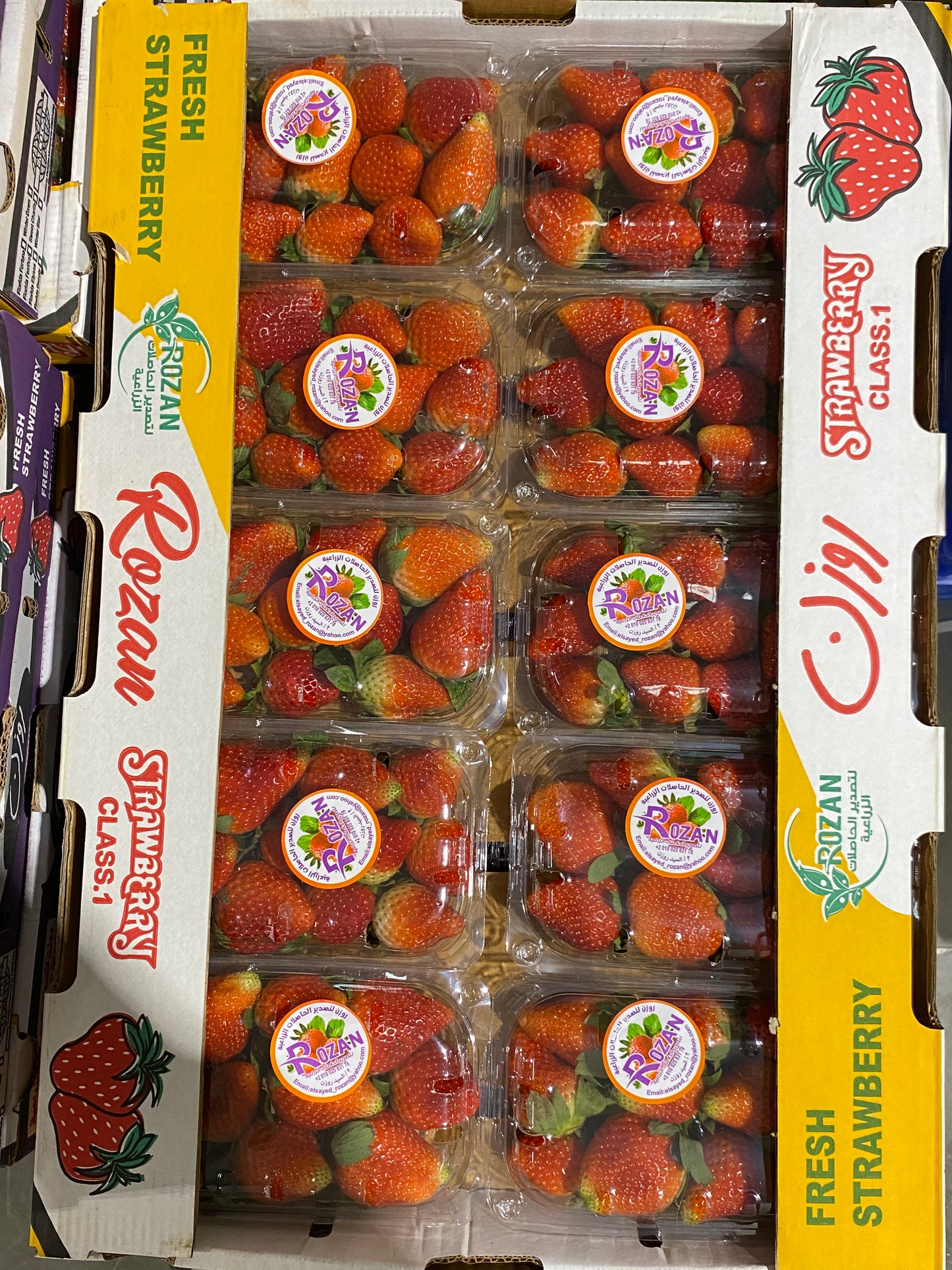 Strawberry/Egypt Box (1*10) فراولة مصرية
