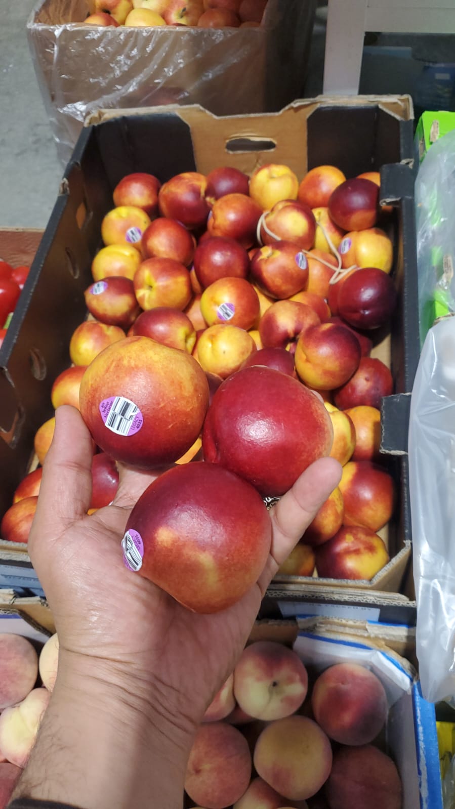 Nectarine/ Australia 9kg نكترين استرالي