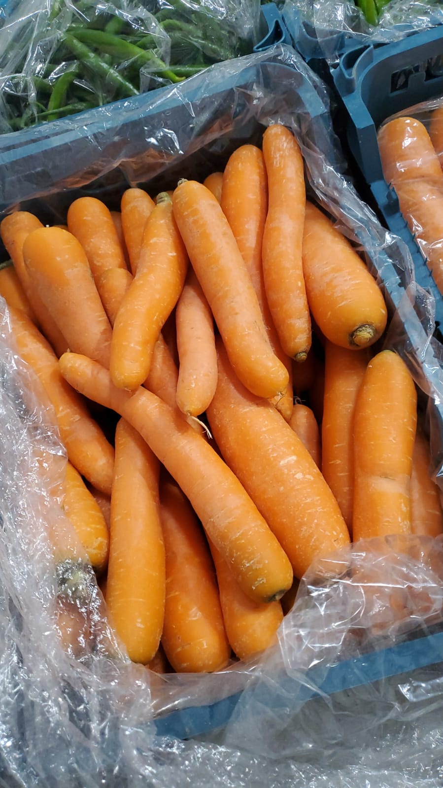 Carrot/ Iran 5-6kg جزر ايراني