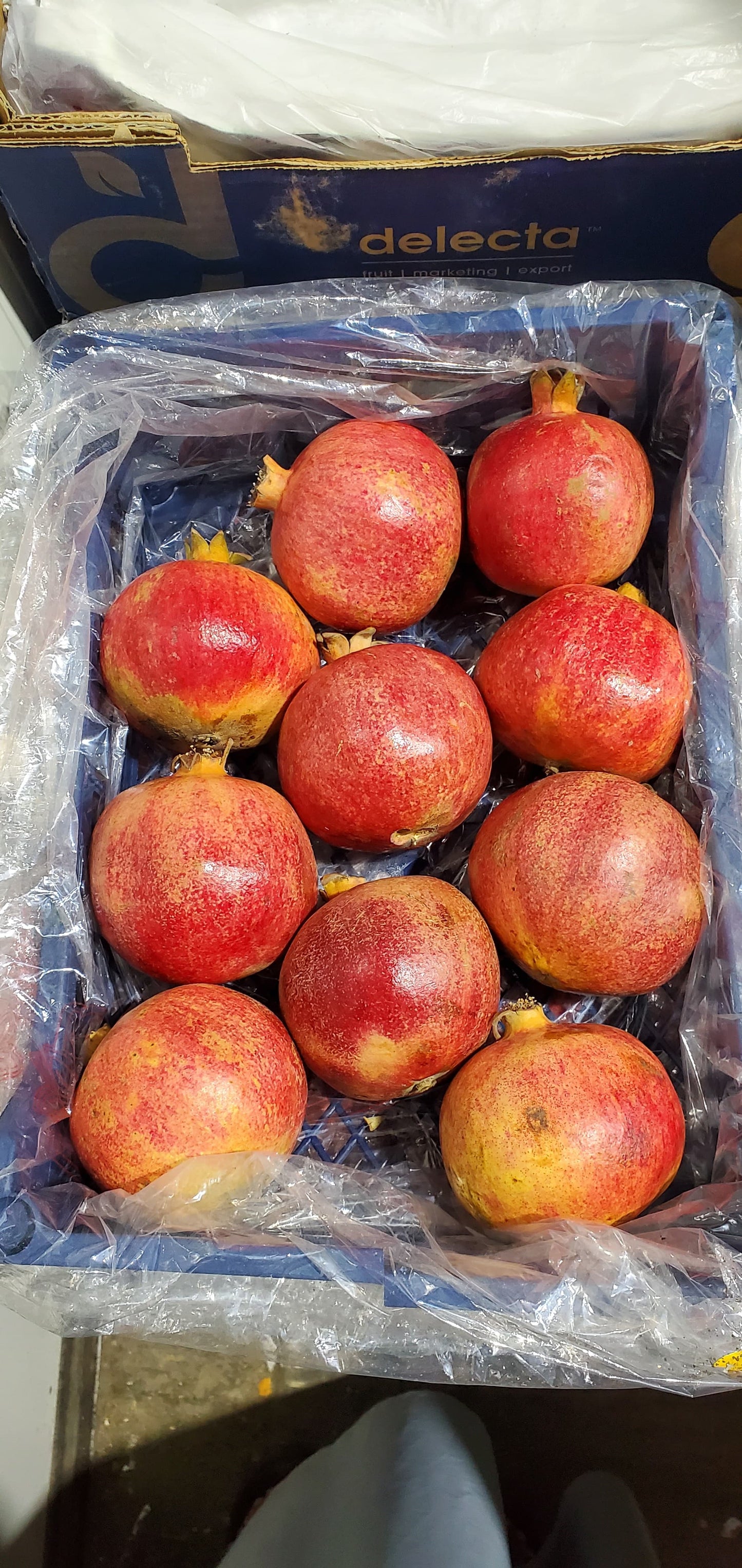 Pomegranate Egypt 3kg رمان مصري