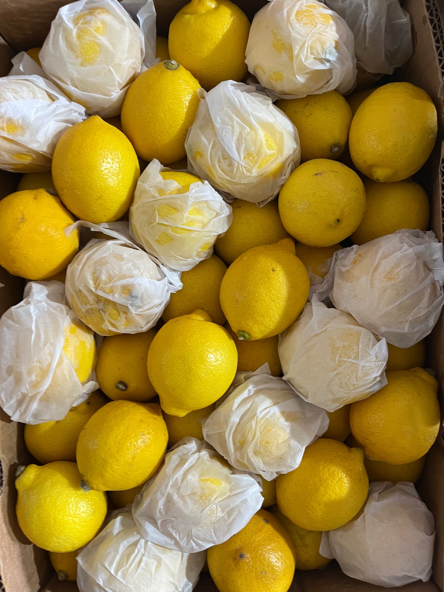 Lemon S/A 15kg ليمون/ ج افريقيا