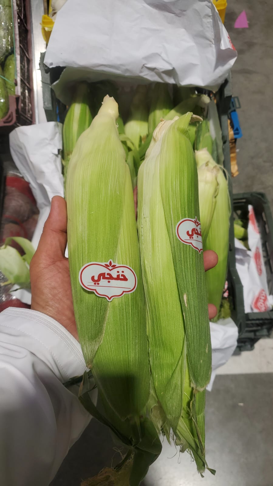 Sweet corn/ Iran 8kg ذرة حلوة ايران