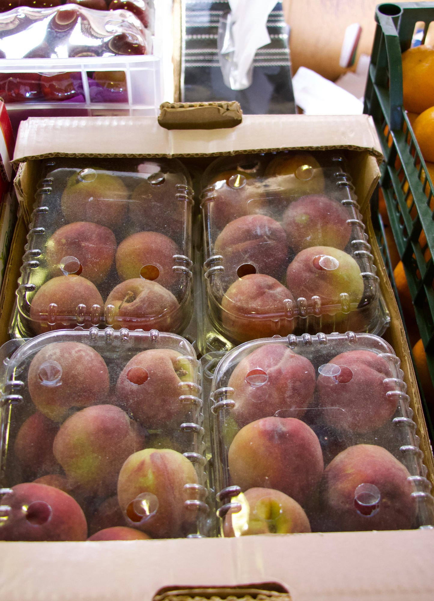 peach Jordan (1*4) خوخ (دراق) اردني