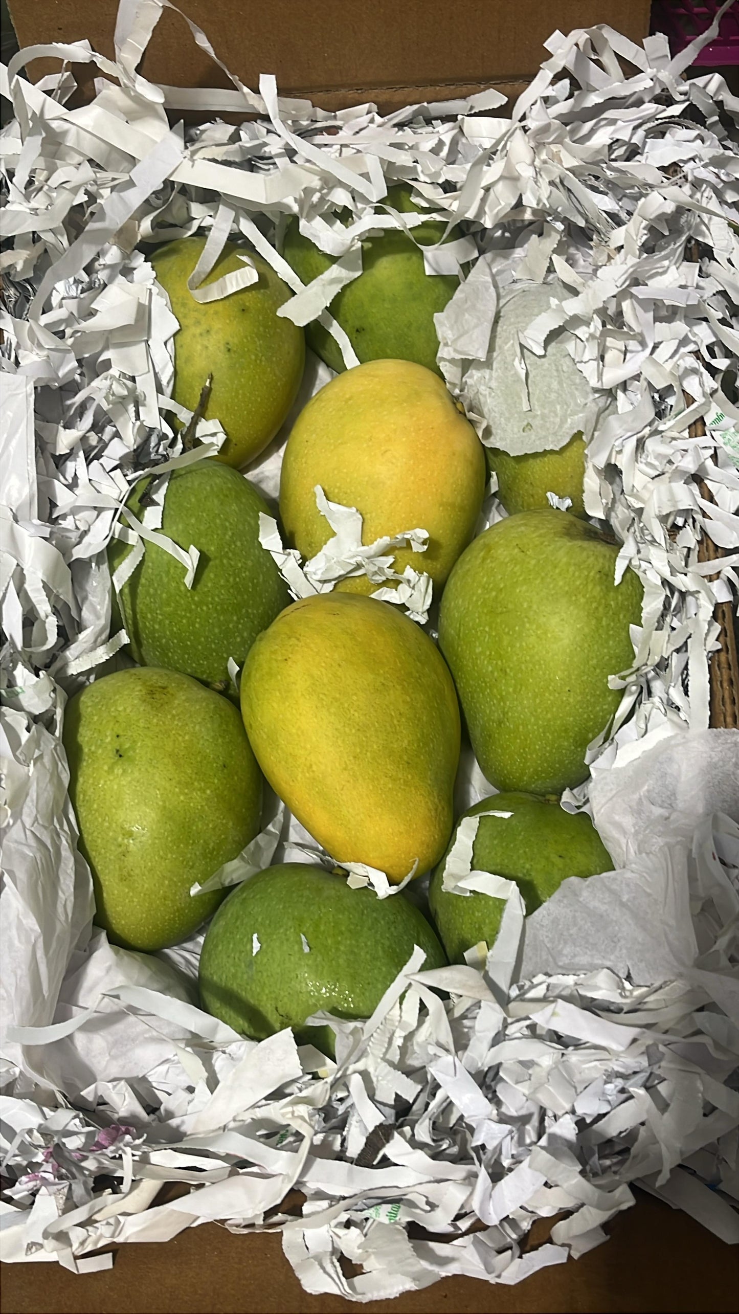 Mango/ India 3kg مانجو هندي