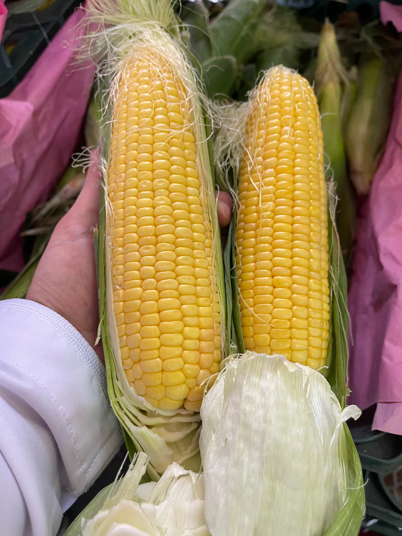 Sweet corn Oman 40kg ذرة عمانية جونيه