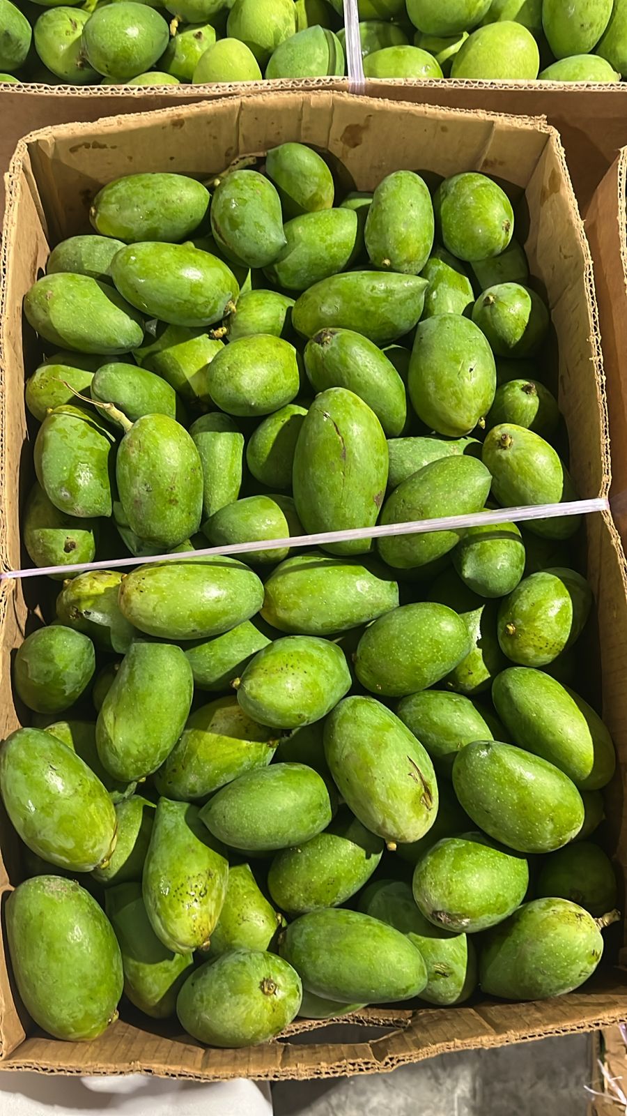 Green Mango/ Oman 20kg حدال/ امبا/ لمبا عماني
