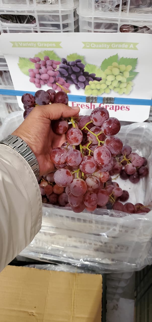 Grapes Red/ Lebanon 3.5kg عنب احمر لبناني