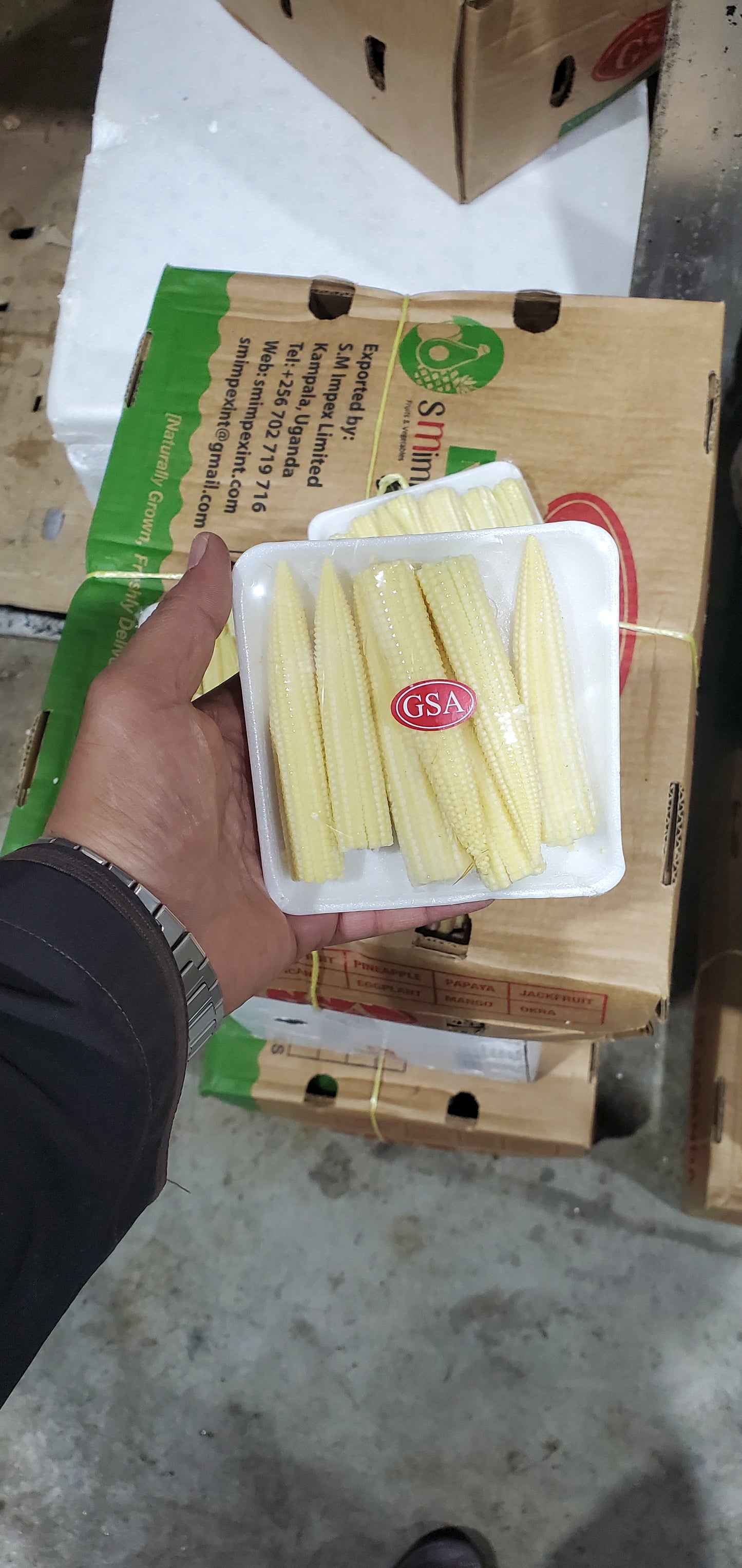 بيبي ذره / تايلاندي Baby Corn / thailand