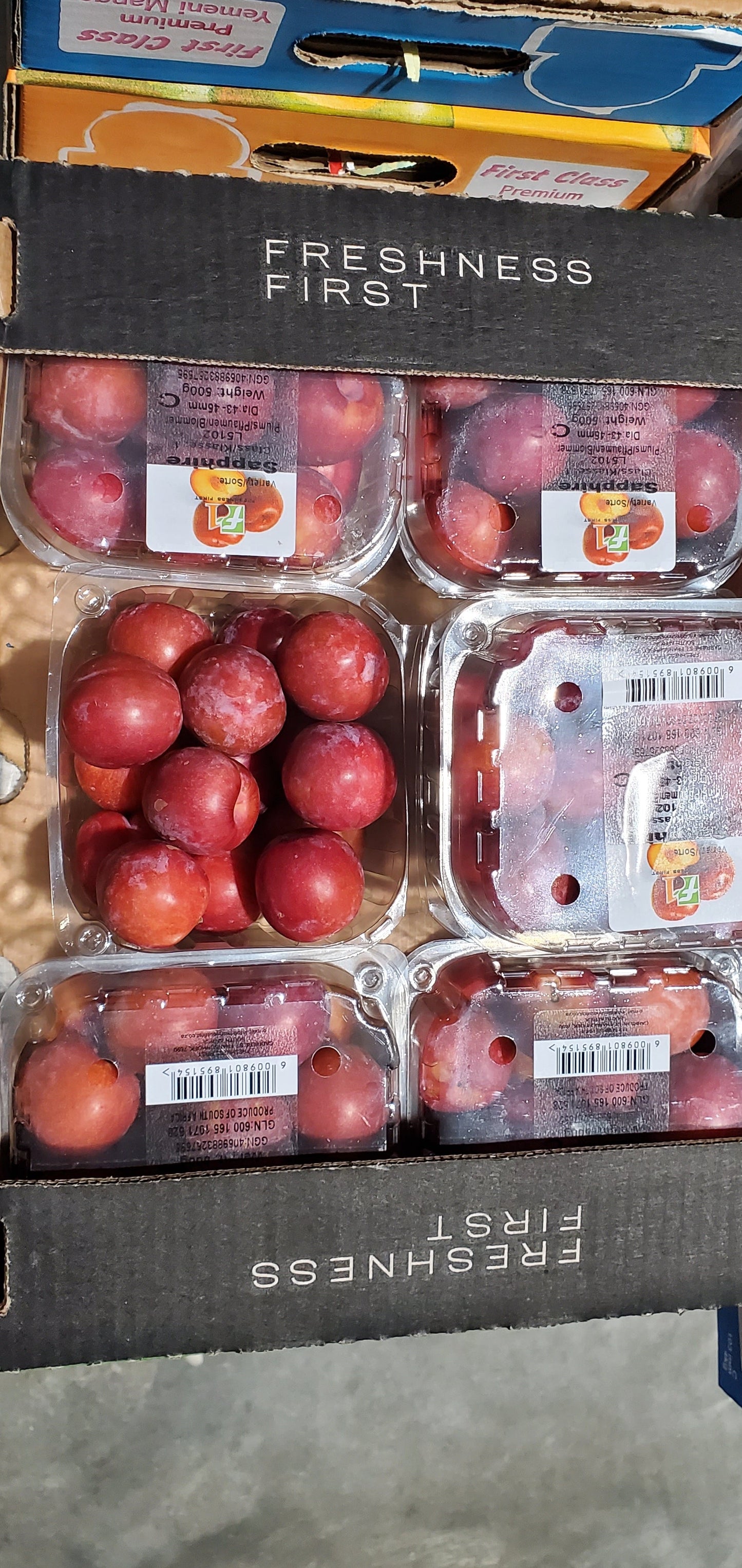 Red Plum S/Africa (1*6) برقوق احمر افريقي