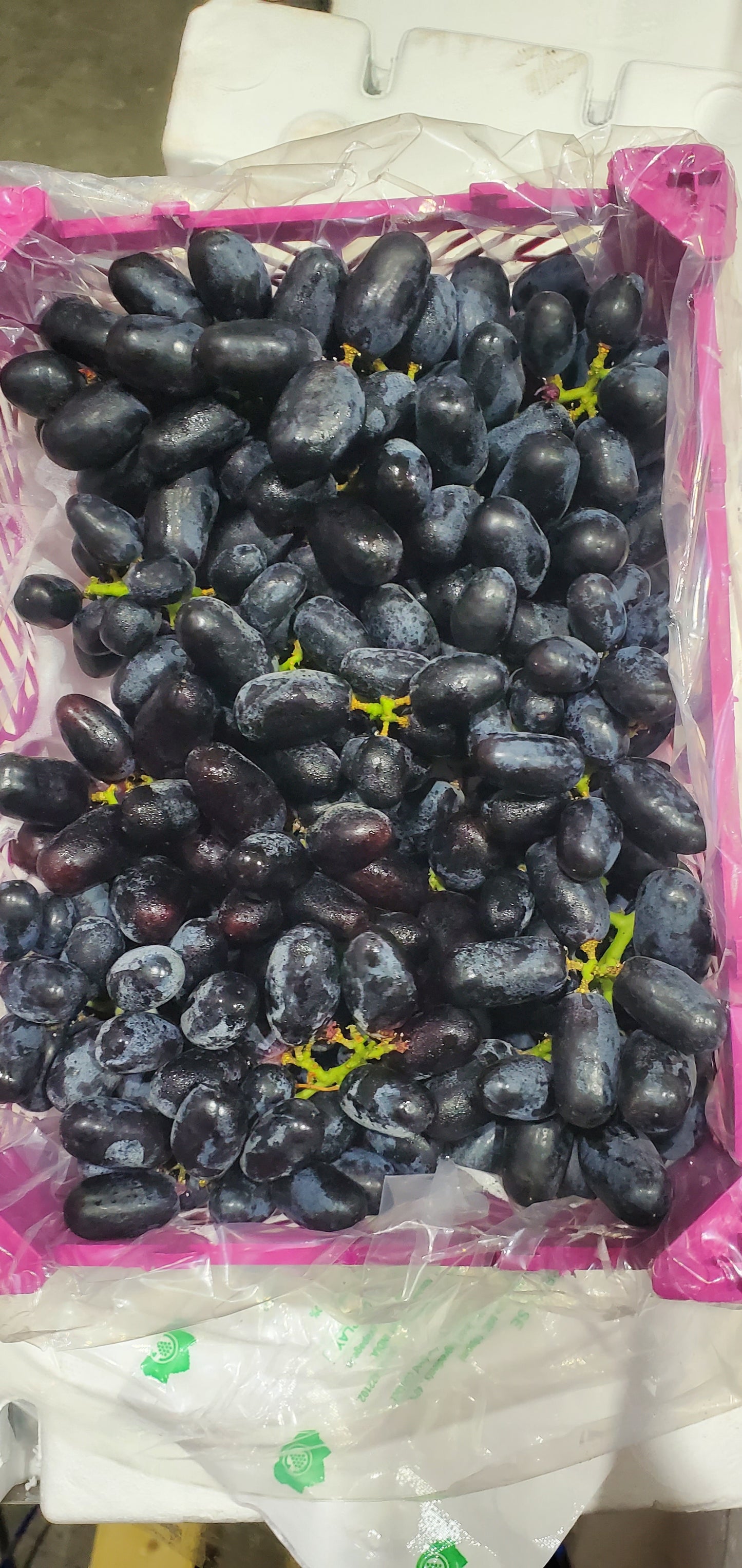 Grapes Black/ India 1.5-2kg عنب اسود هندي صغير