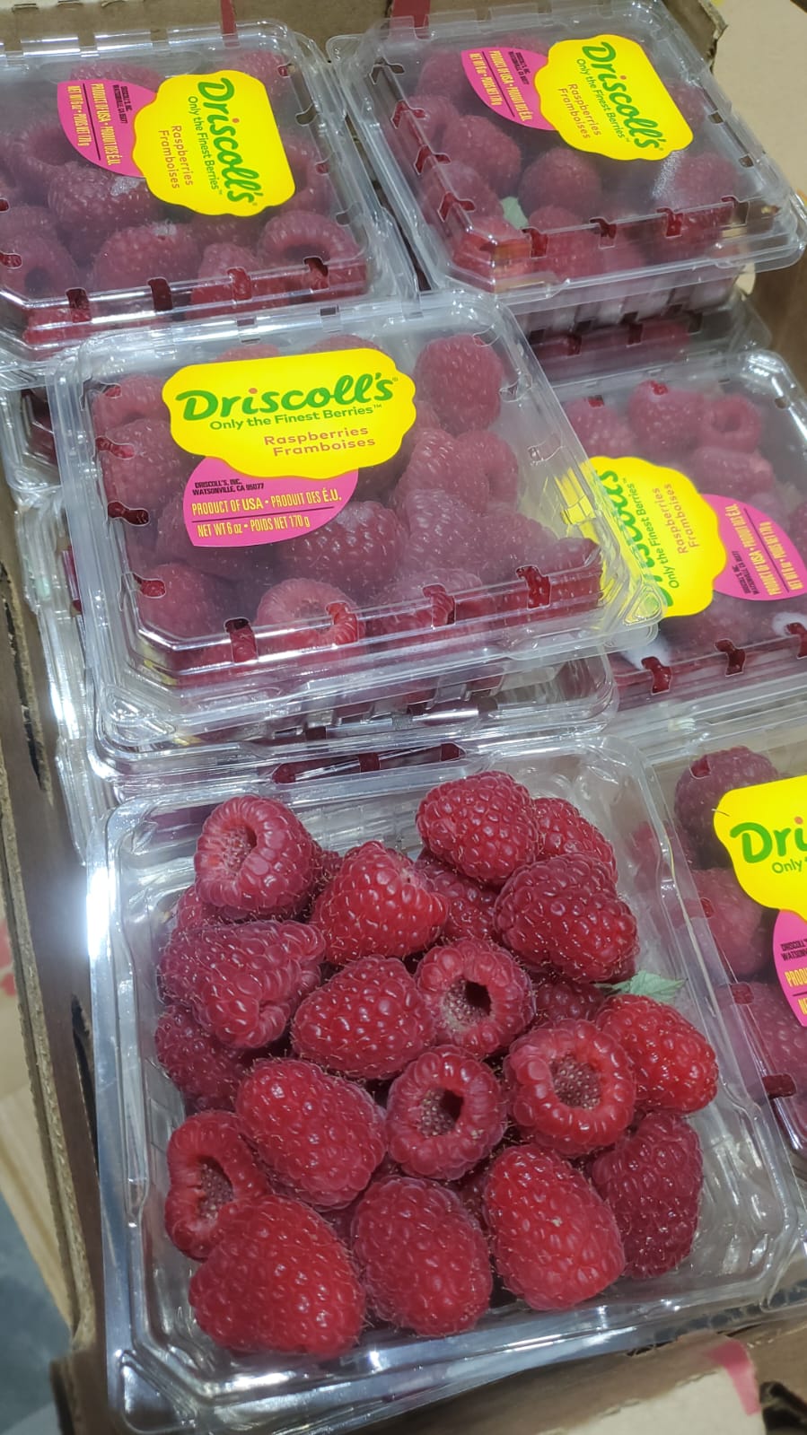 Roseberry Box (1*12) كرتون روز بيري