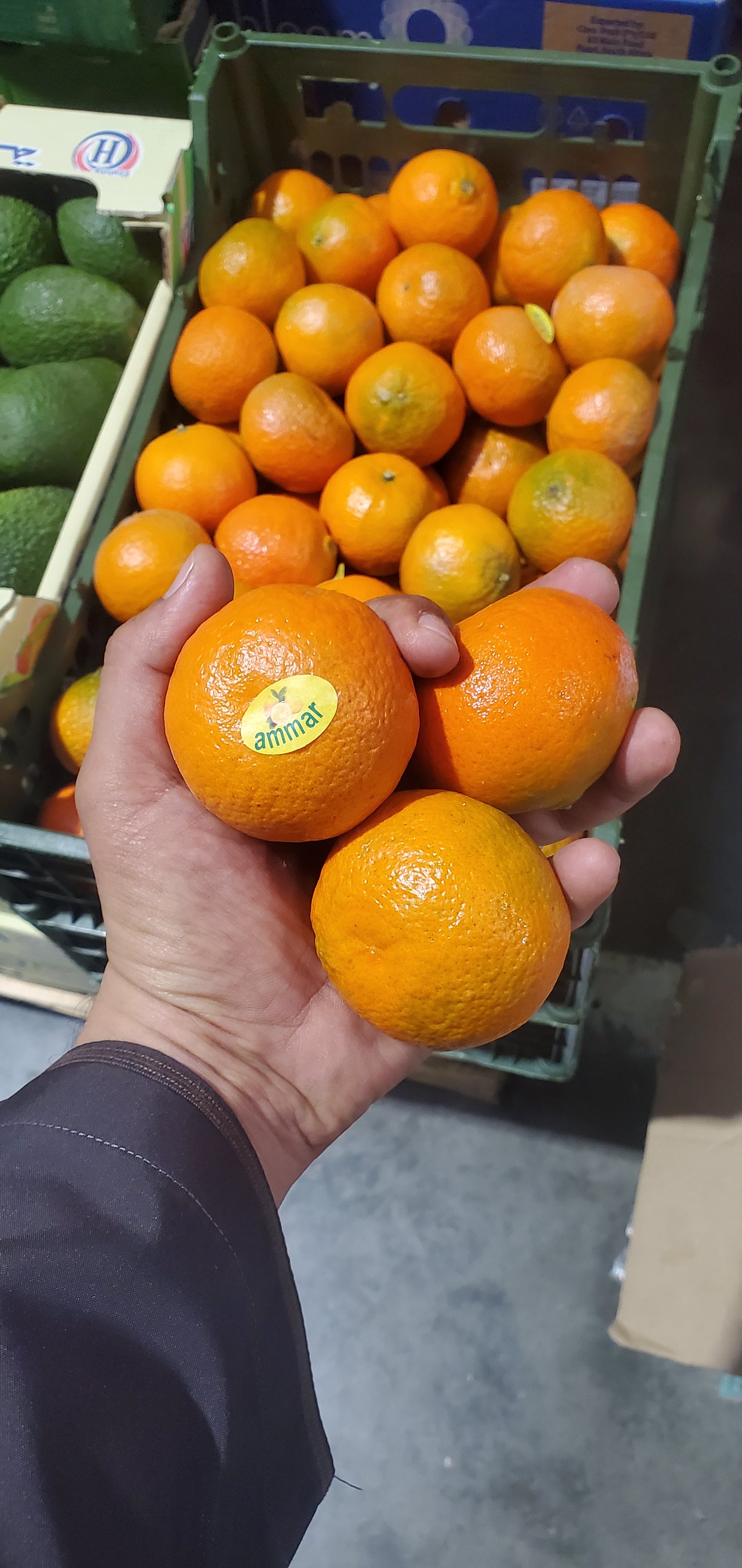 MANDARIN EGYP 7kg سنترة مصرية