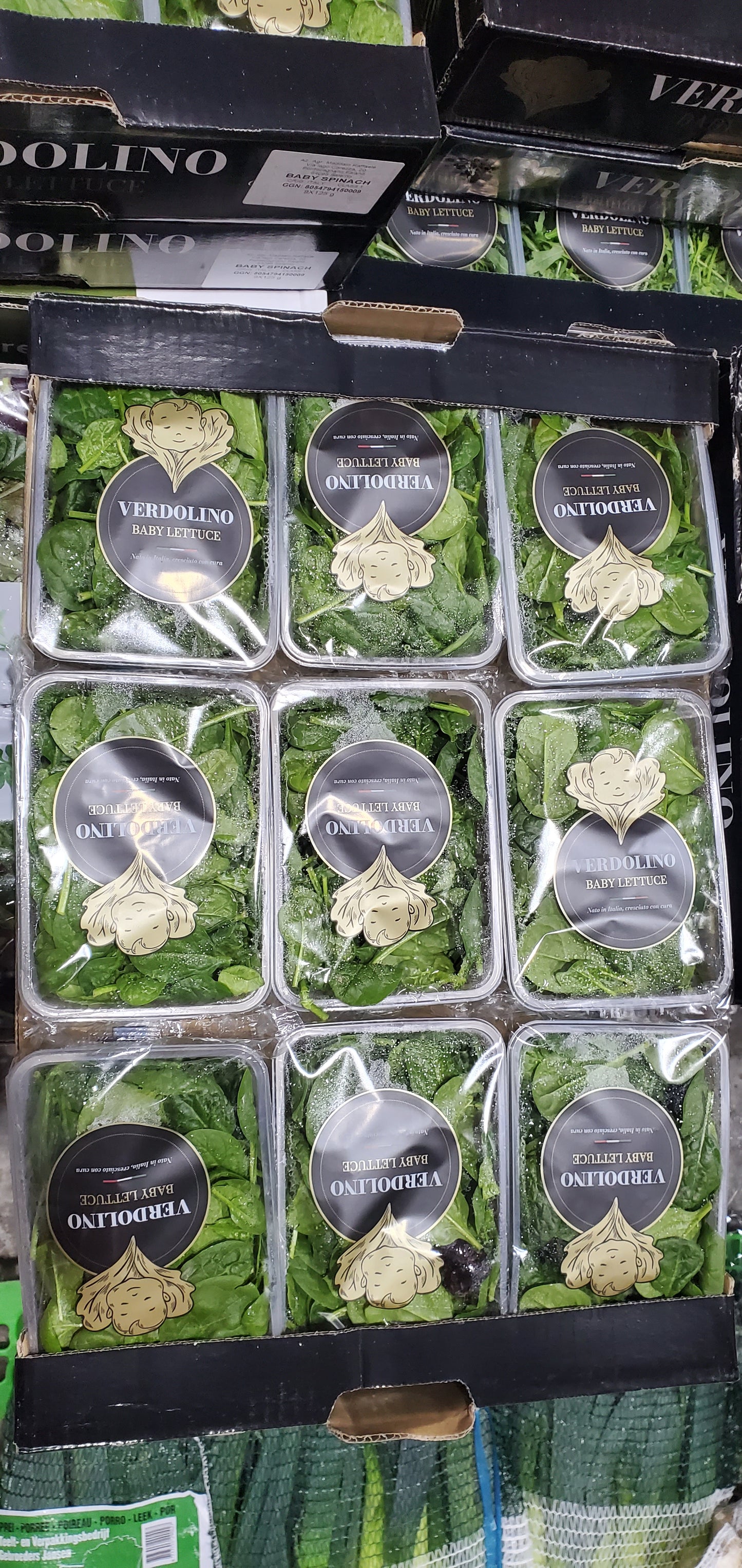 French baby spinach سبانخ بيبي فرنسي