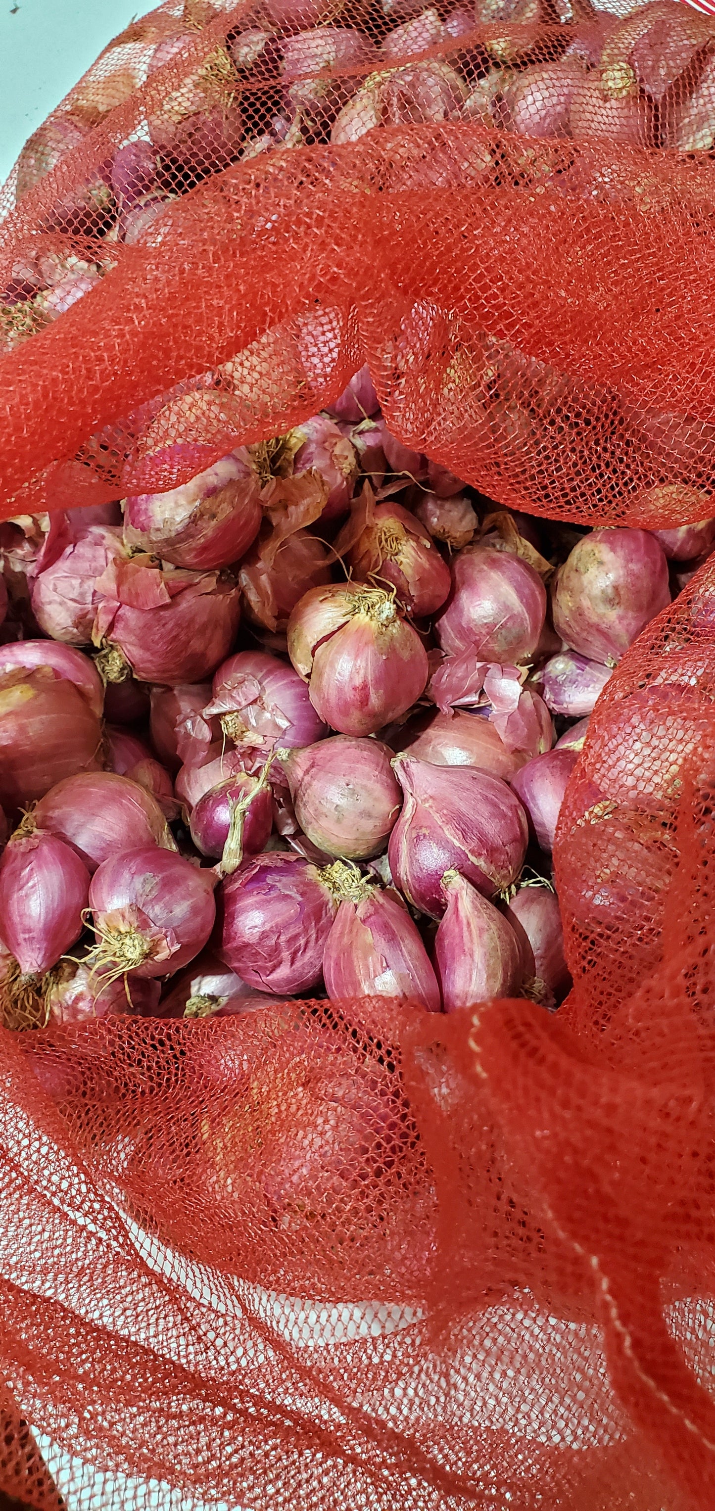 بيبي بصل هندي/ 5kg Indian baby onion