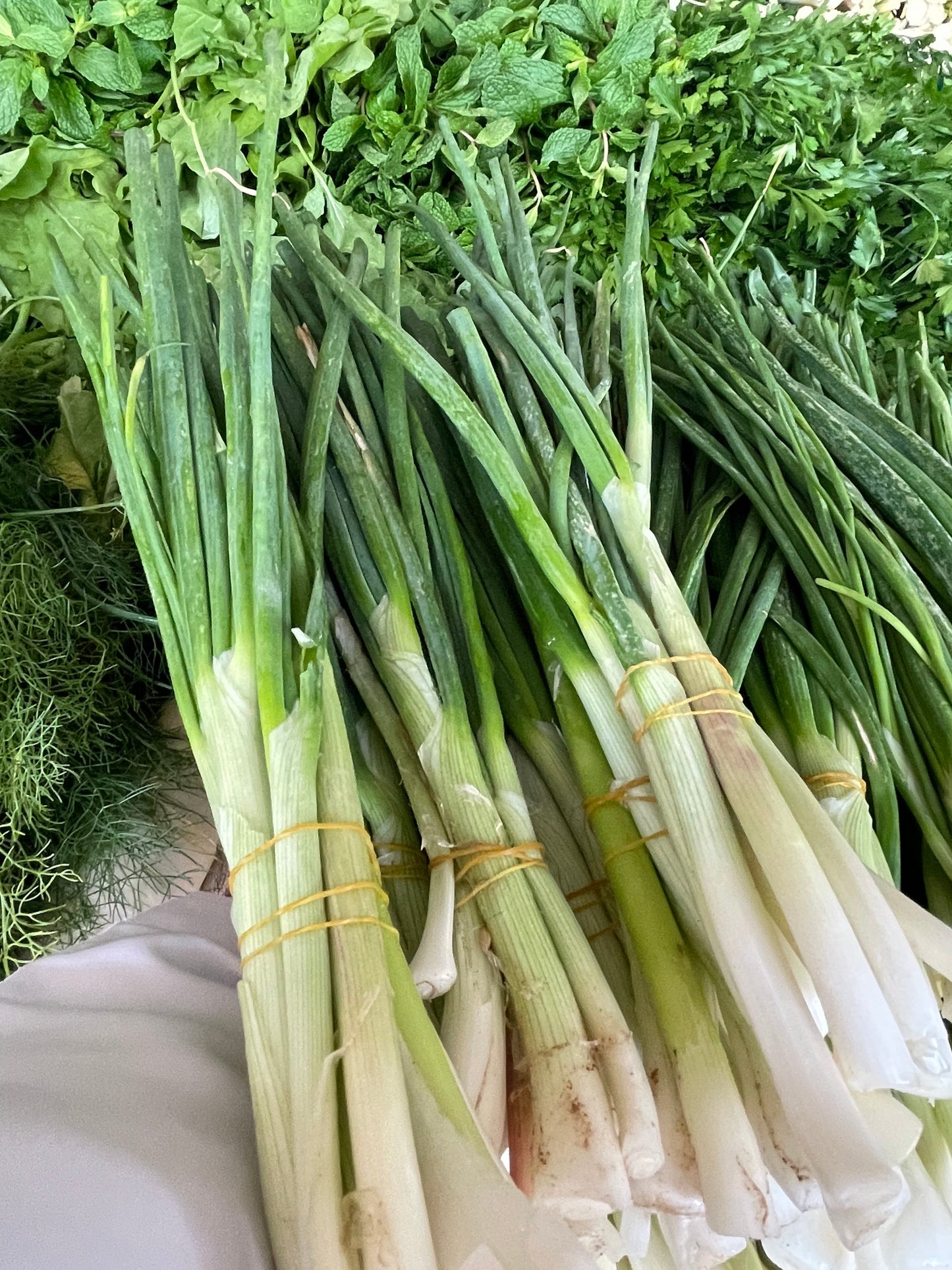 Onion Green 1kg بصل اخضر
