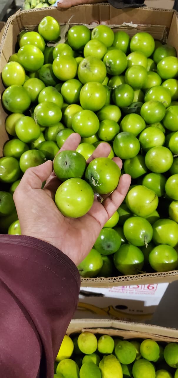 Ziziphus box 20kg كرتون نبق عماني