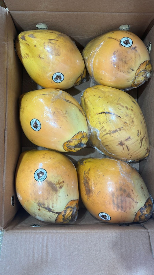 TENDER COCONUT SL/THAILAND 6PC مشلي/ سريلانكا - تايلاند