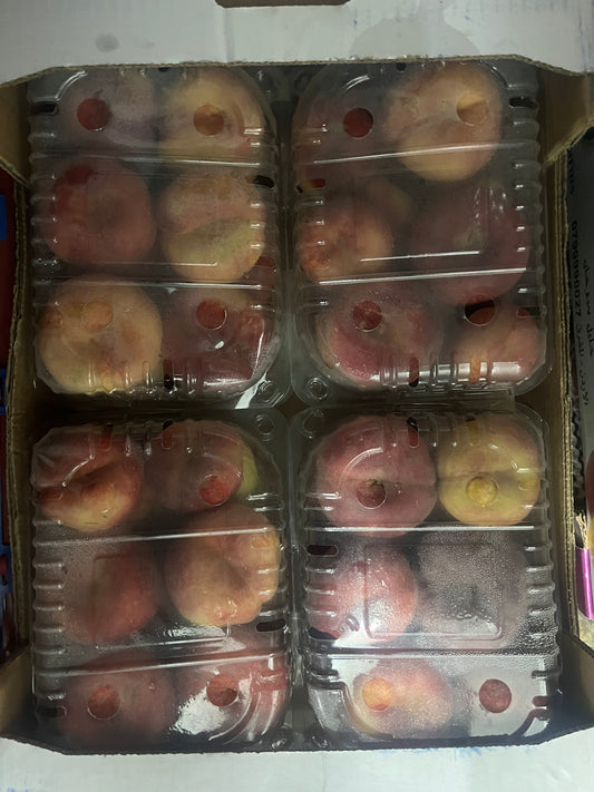 Flat Peach JOR (1X4) كعب الغزال اردني
