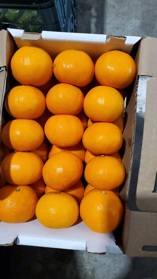 MANDARIN S/A small basket سنترة/ ج افريقيا سلة صغيرة