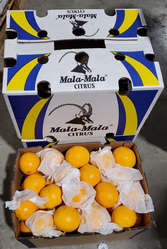 Orange Valensia/ S/Africa box 15kg كرتون برتقال فالنسيا افريقي