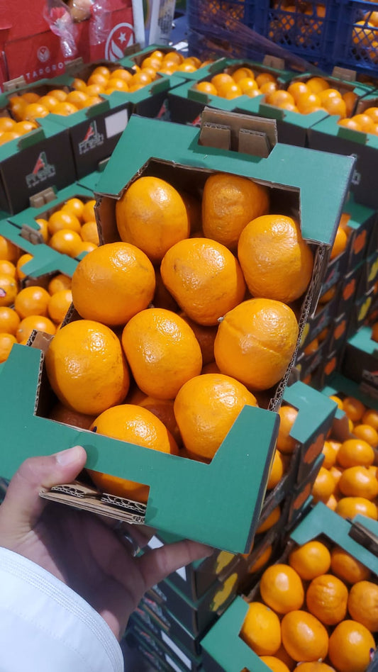 MANDARIN/ EGYP 2.6kg سنترة مصرية