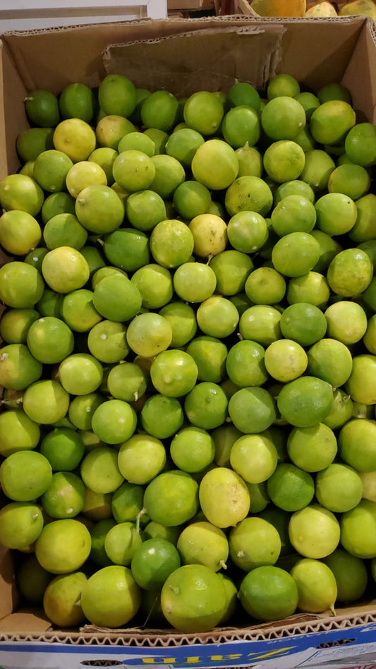 Lemon/ Oman  20kg ليمون عماني