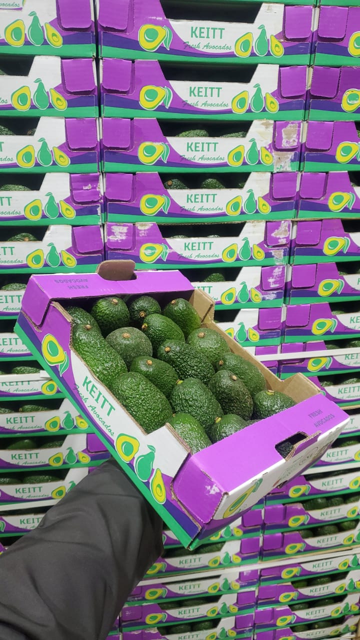 Avocado/ Hass 4kg افوكادو هس مفتوح