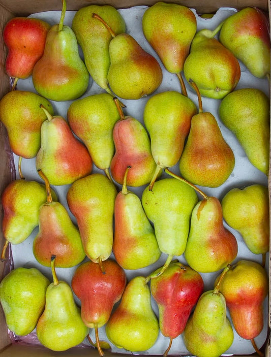 Pears/ Rosemerry box 13kg كمثرى روز ميري