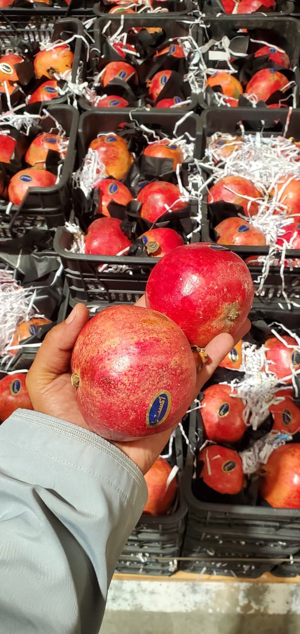 Pomegranate/Syria basket رمان سوري سلة