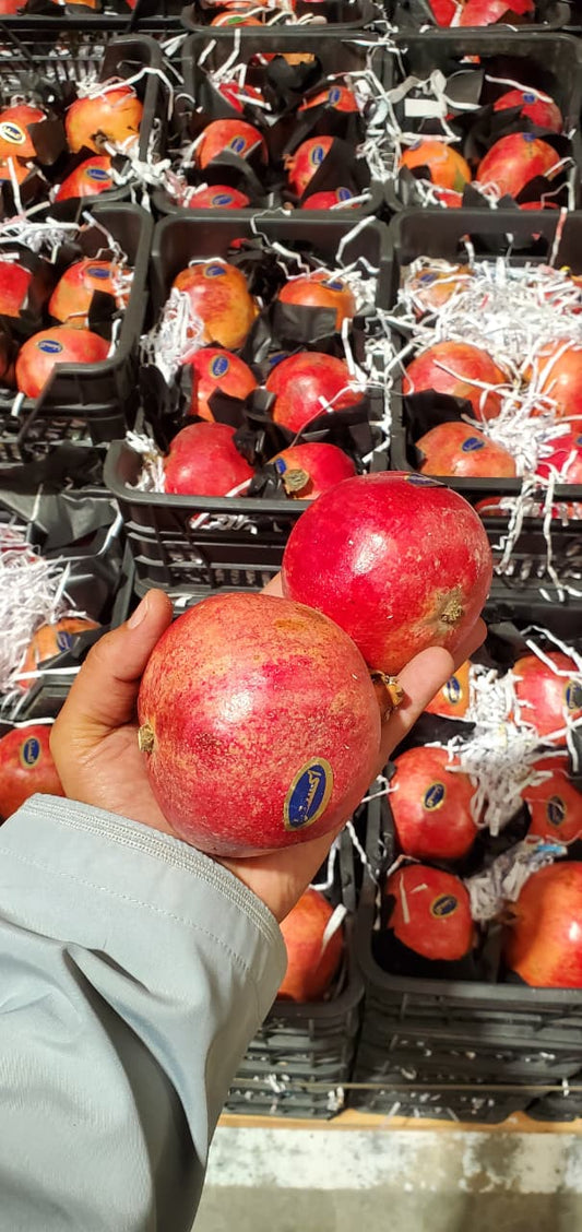 Pomegranate/Syria basket رمان سوري سلة