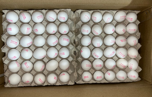 EGG IND 30PCS كرتون بيض هندي