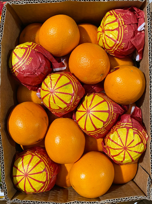 Orange Valensia 13kg برتقال فالنسيا 72حبة