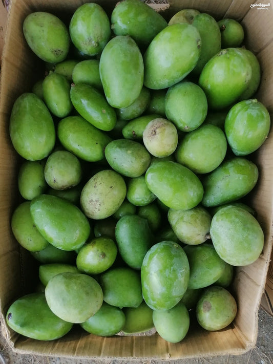 Green Mango/ India 19-20kg حدال/ امبا/ لمبا هندي