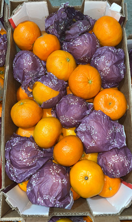 MANDARIN Nova S/A 9-10kg  سنترة/ ج افريقيا حبة صغيرة