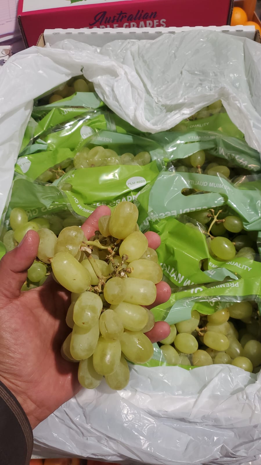 Grapes Green/ Australia 9kg عنب اخضر استرالي